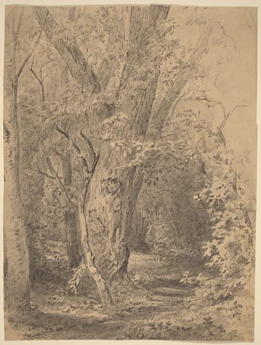 Tree and Foliage by Walter Shirlaw, drawing, 1873