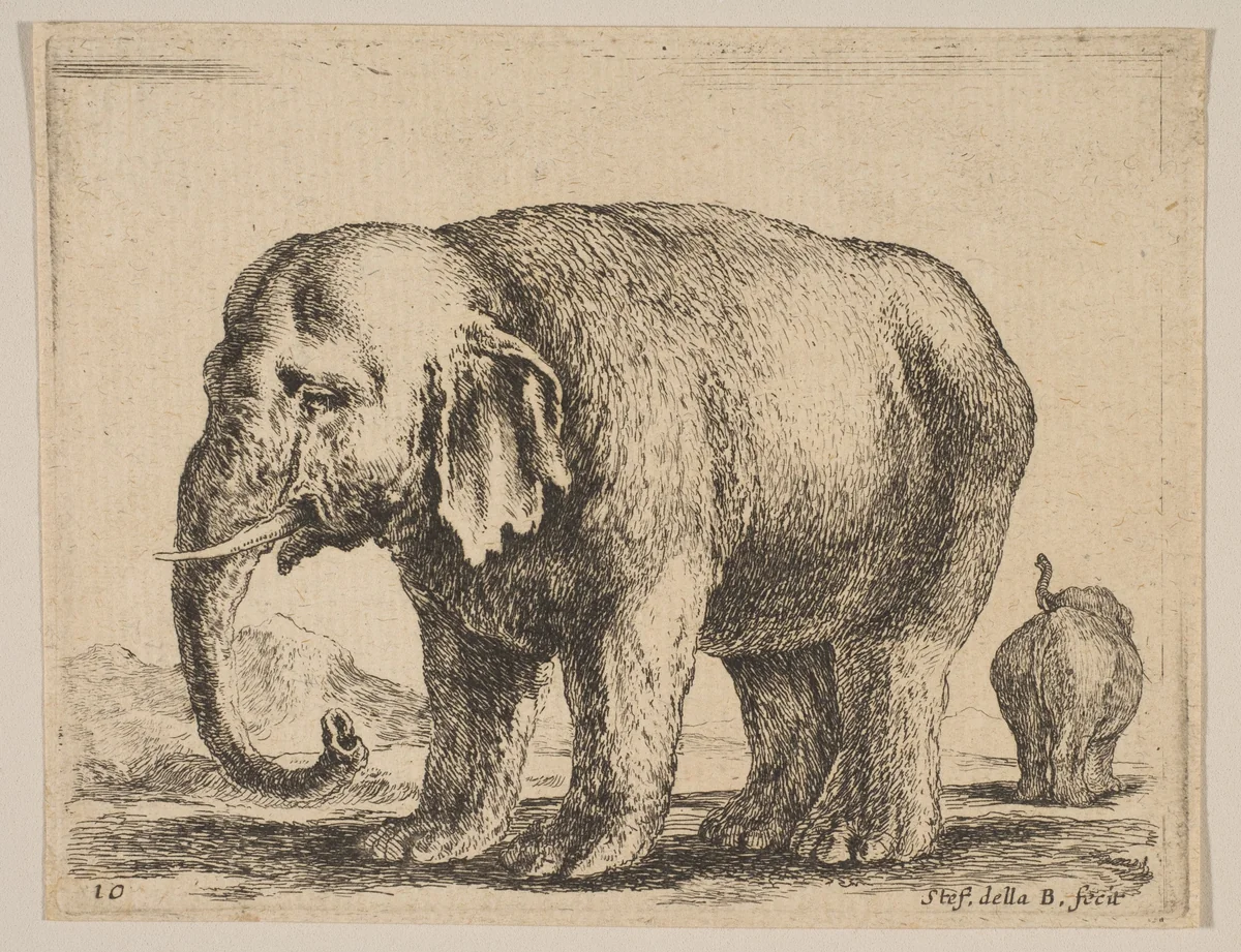 Plate 10: Elephant, from "Various animals" (Diversi animali) by Stefano della Bella, print, 1636-1646