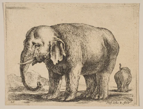 Plate 10: Elephant, from "Various animals" (Diversi animali) by Stefano della Bella, print, 1636-1646
