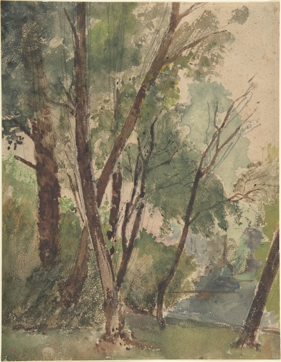 Trees Beside a Pond by Louis Antoine Léon Riesener, drawing, 1853-1878