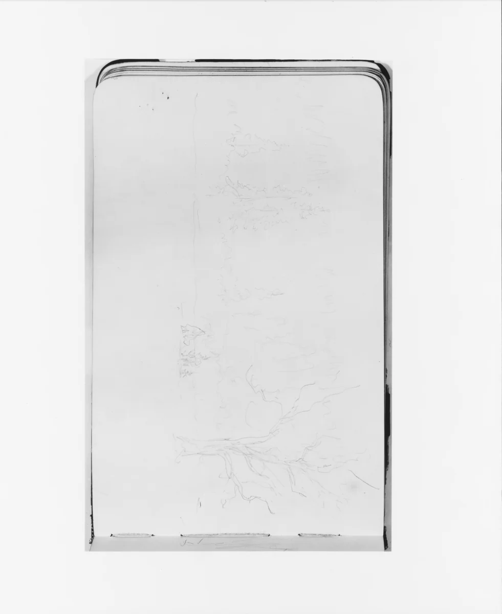 Landscape with Tree in Foreground (from Sketchbook) by Albert Bierstadt, artwork, 1890