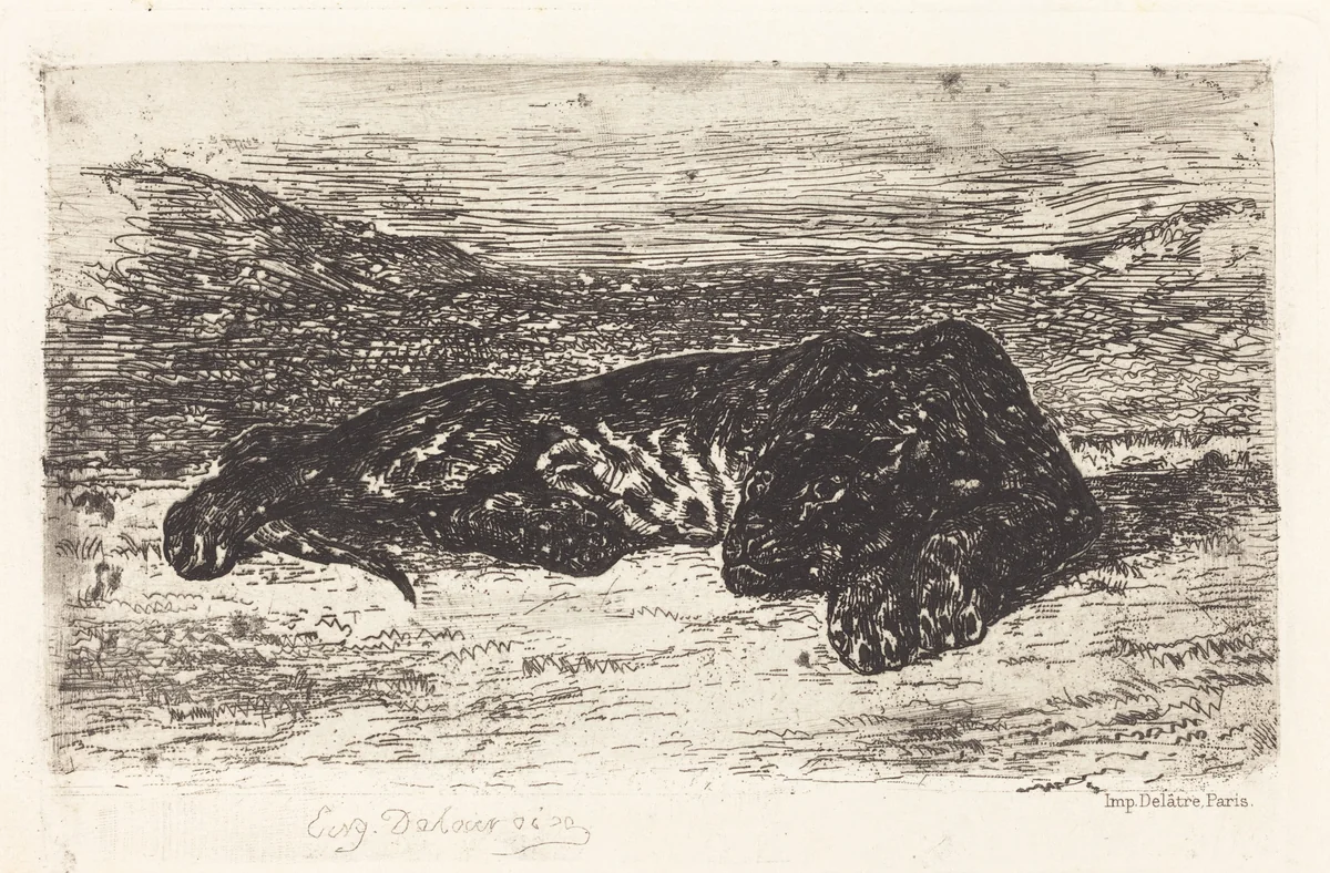 Tiger Sleeping in the Desert by Eugène Delacroix, print, 1846-1870