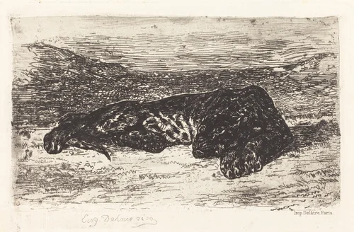 Tiger Sleeping in the Desert by Eugène Delacroix, print, 1846-1870