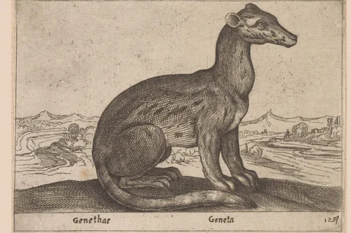 Wezen half kat half marterachtige by Antonio Tempesta, print, 1565-1630