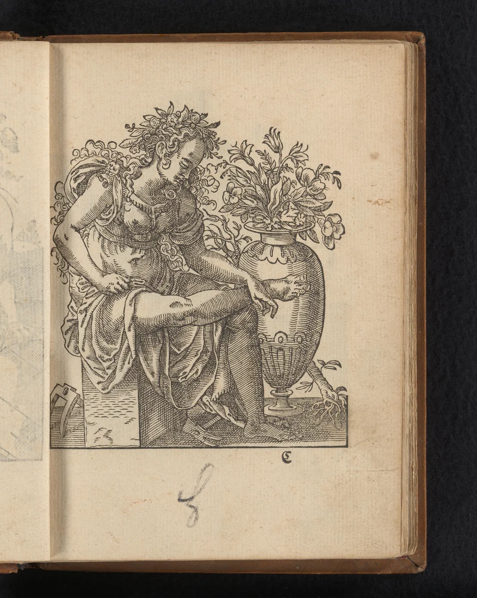 Flora by Unknown, print, 1578