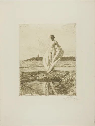 The Swan by Anders Zorn, print, 1915