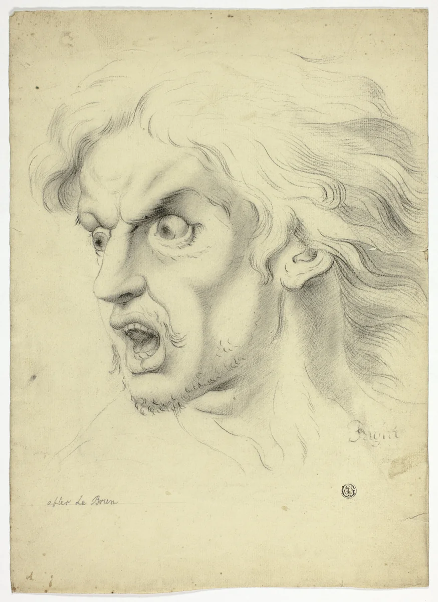Fright by John Downman
Charles Le Brun, drawing, 1770-1824