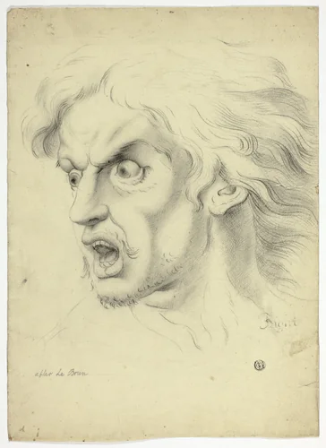 Fright by John Downman
Charles Le Brun, drawing, 1770-1824