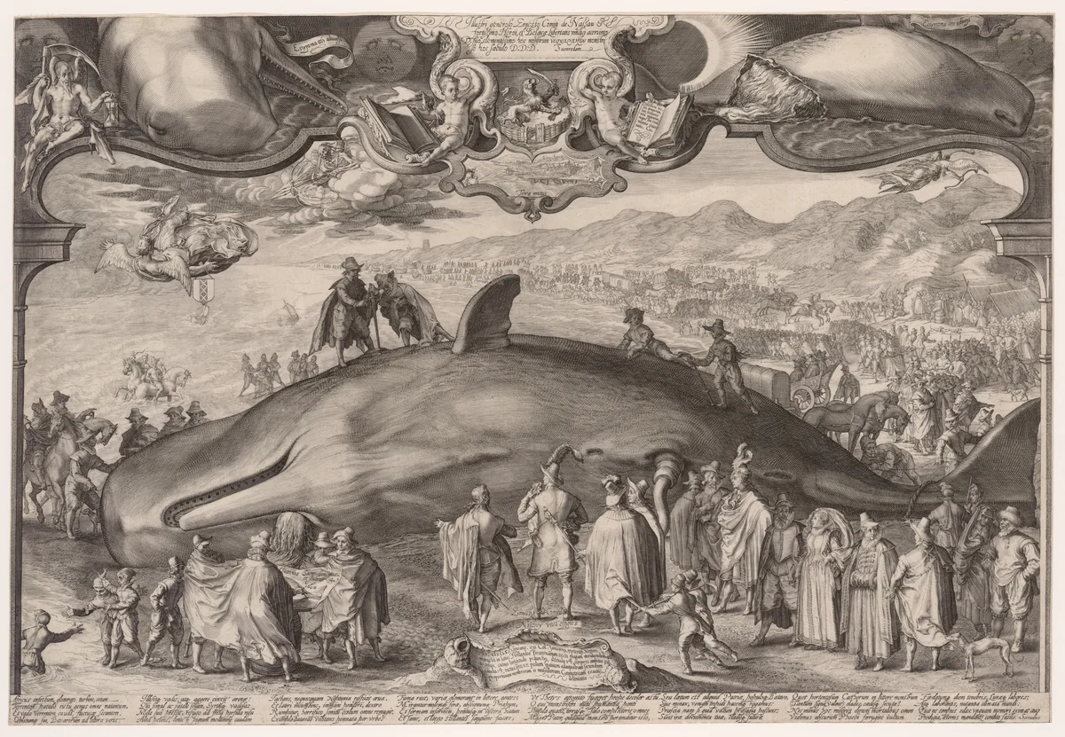 Beached Whale at Wijk aan Zee by Jan Saenredam, print, 1602