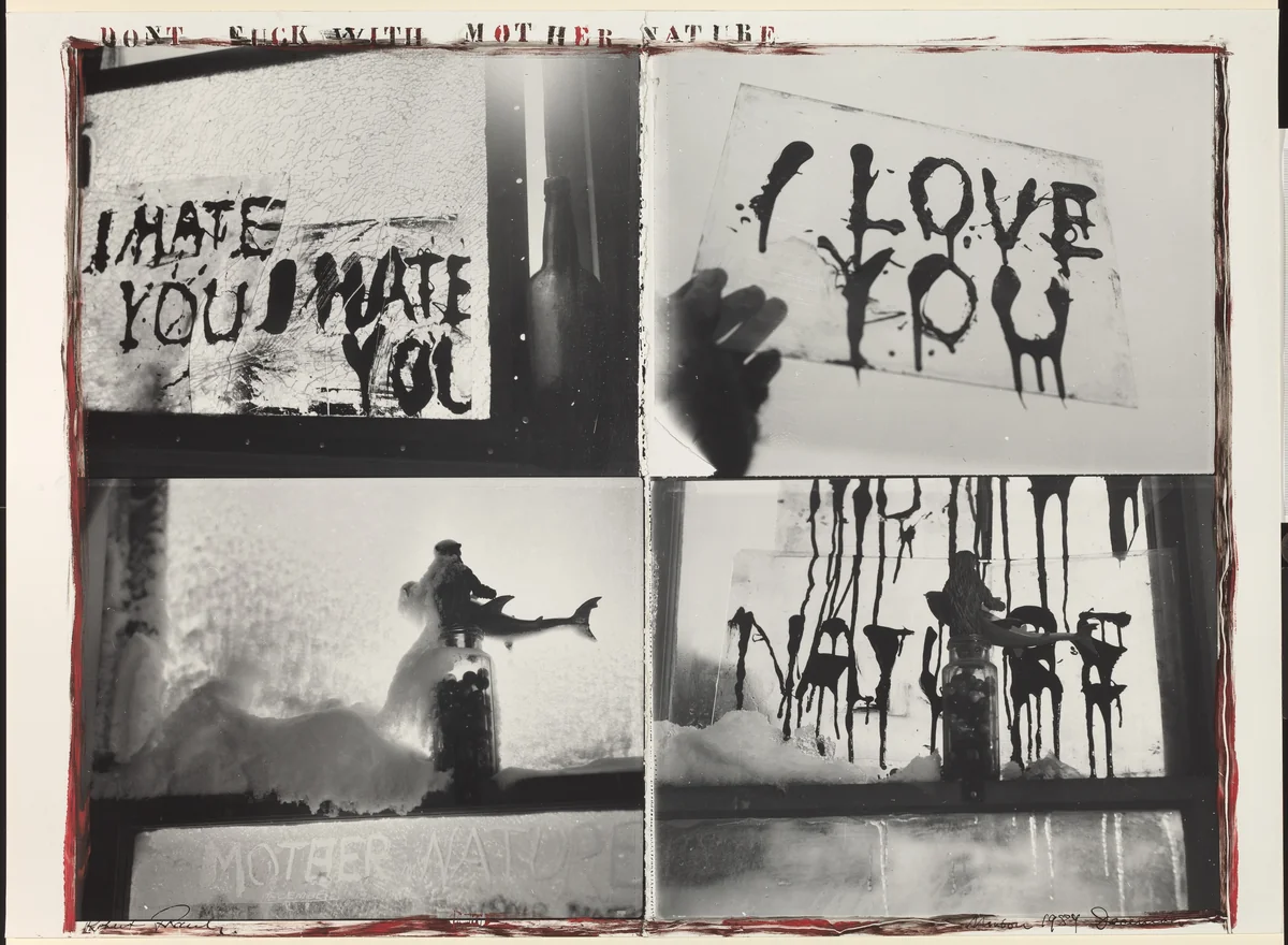 Mother Nature, Mabou by Robert Frank, photograph, 1984