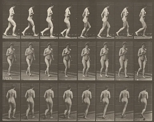 Plate Number 70. Running by Eadweard Muybridge, photograph, 1887