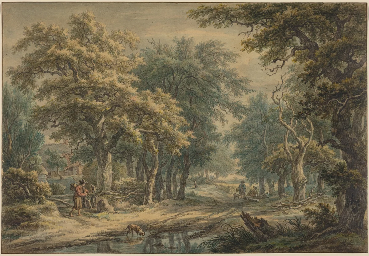 At Donderen, in the Woods of Drenthe by Egbert van Drielst, drawing, 1799