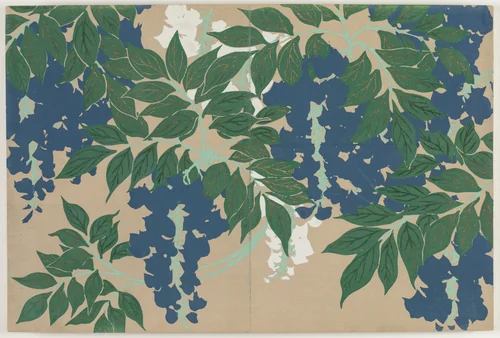 Flowers of a Hundred Worlds (Momoyogusa): Wisteria (Fuji) by Kamisaka Sekka, book, 1909-1910