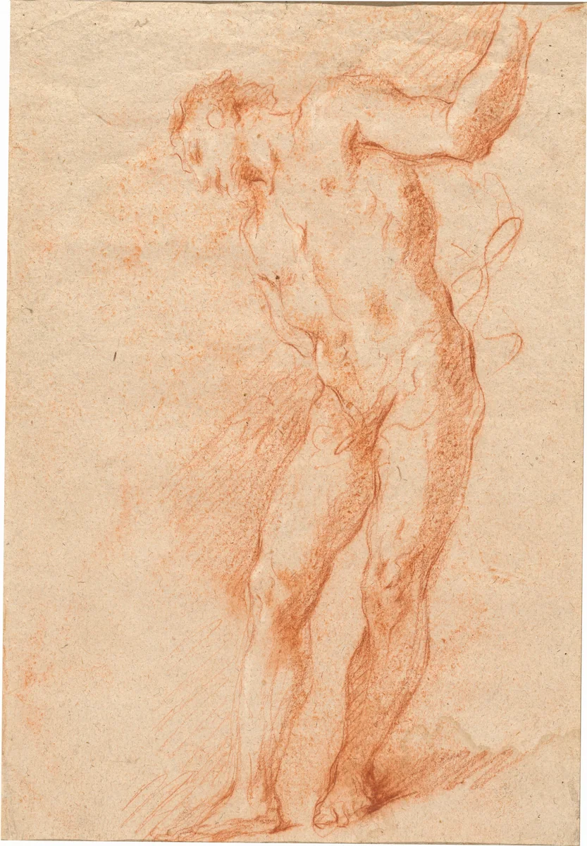 Male Nude by Gian Antonio Guardi, drawing, 1720-1730