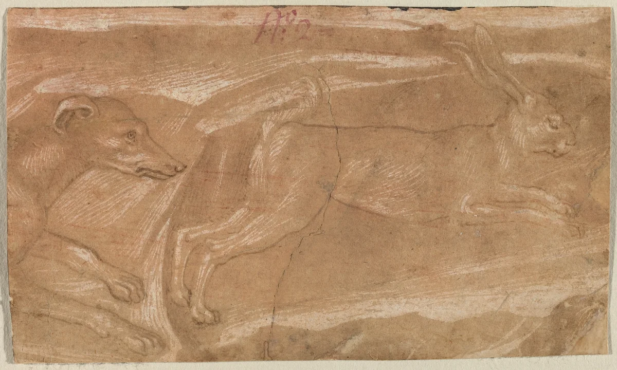 A Hound Chasing a Hare by Benozzo Gozzoli, drawing, 1451-1461