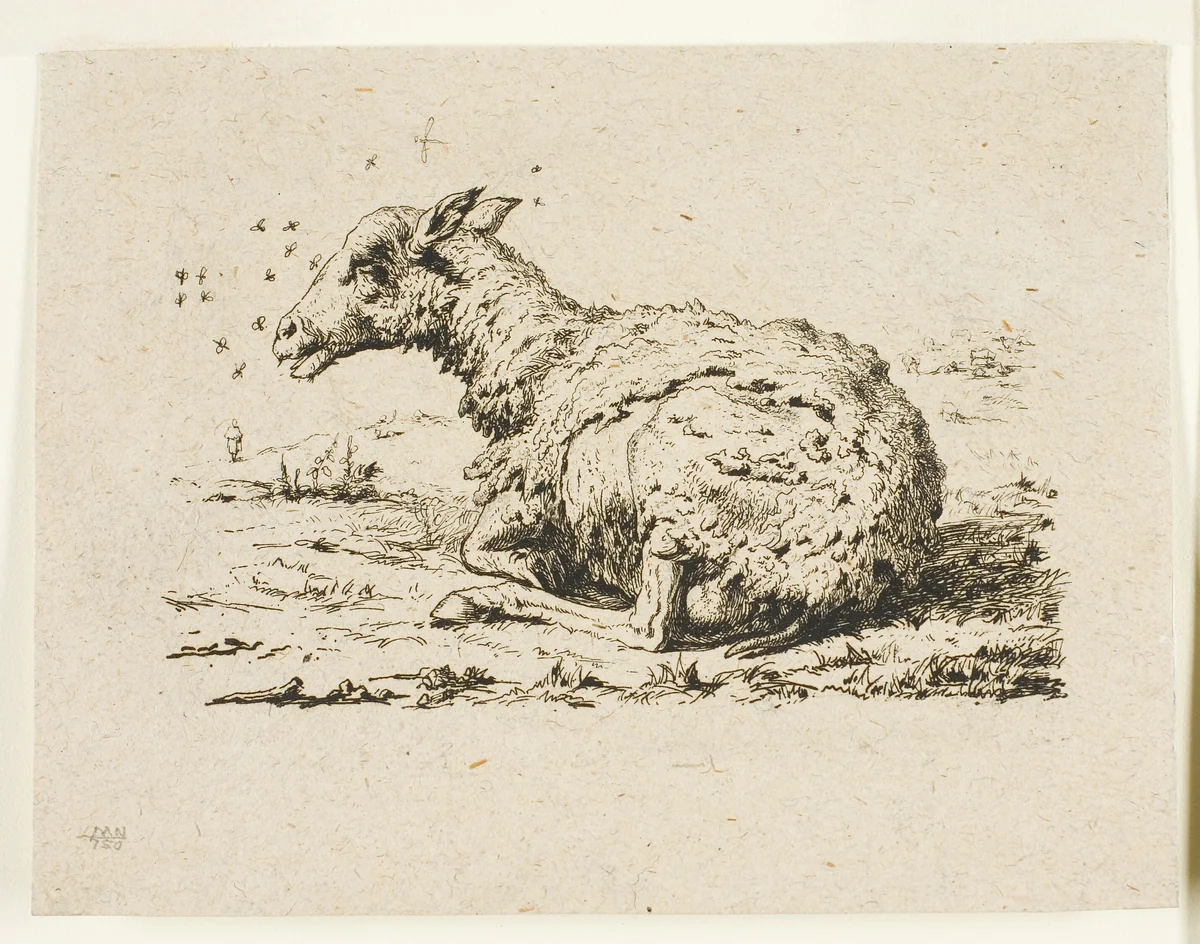 The Sheep and the Flies by Charles Meryon, print, 1849