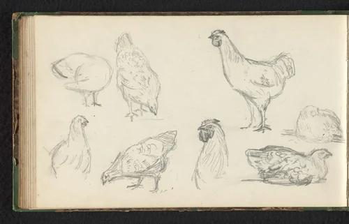 Acht kippen by Jan Bedijs Tom, drawing, 1823-1894