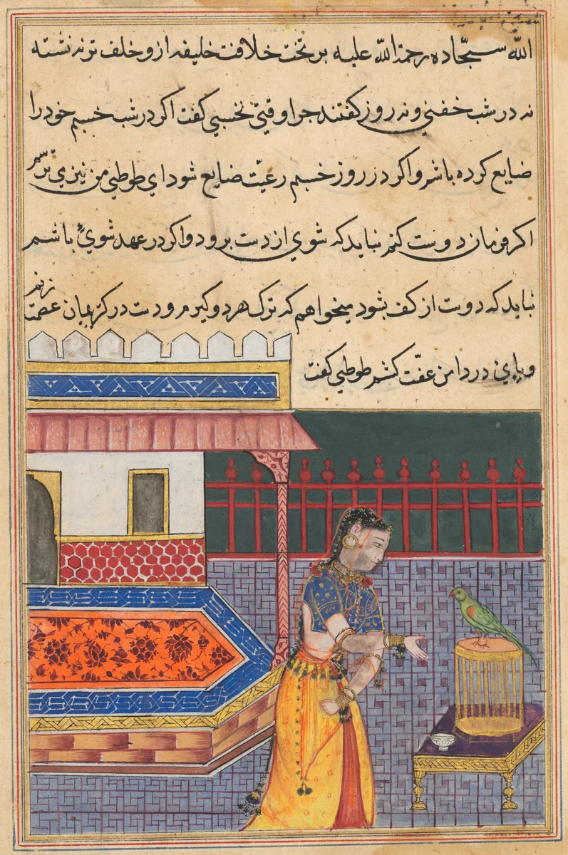 The parrot addresses Khujasta at the beginning of the forty-first night, from a Tuti-nama (Tales of a Parrot): Forty-first Night by Unknown, painting, 1555-1565