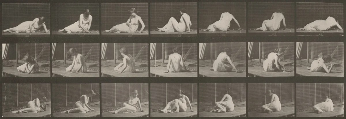 Plate Number 267. Turning and changing position while on the ground by Eadweard Muybridge, photograph, 1887