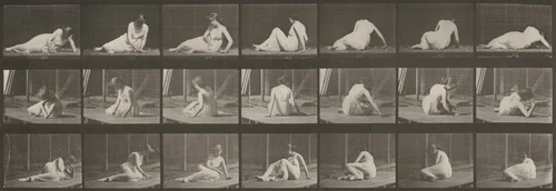 Plate Number 267. Turning and changing position while on the ground by Eadweard Muybridge, photograph, 1887
