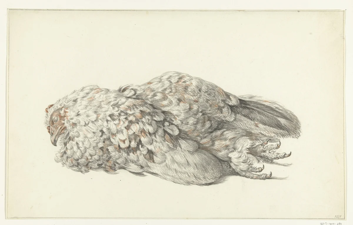 Een dode kip by Jean Bernard, drawing, 1827