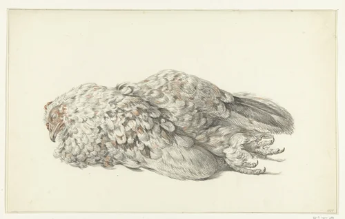 Een dode kip by Jean Bernard, drawing, 1827