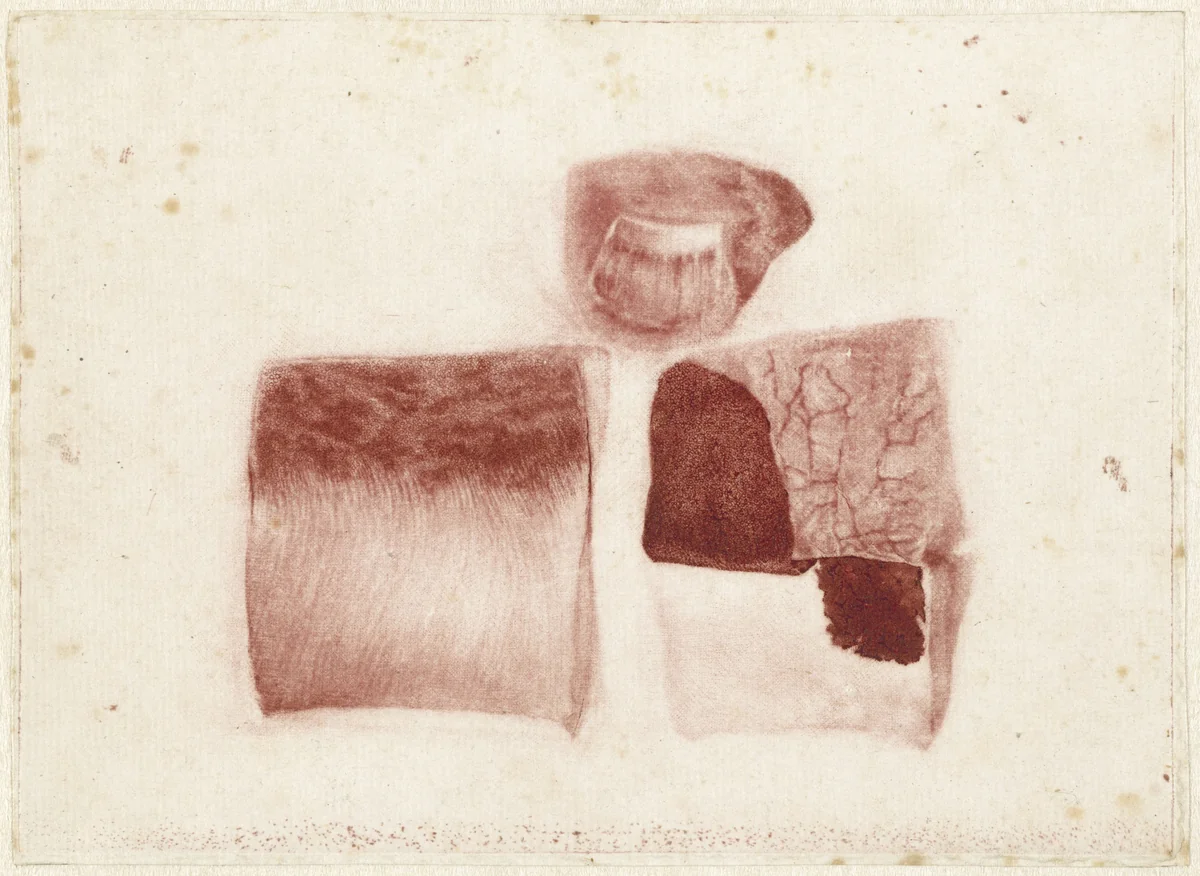 Anatomische studie van menselijke huid en nagel by Jan l' Admiral, print, 1737