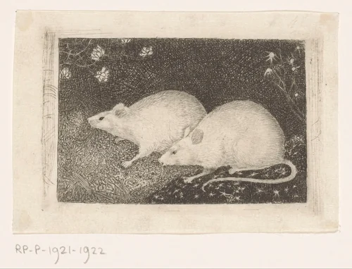 Twee muizen by Jan Mankes, print, 1916