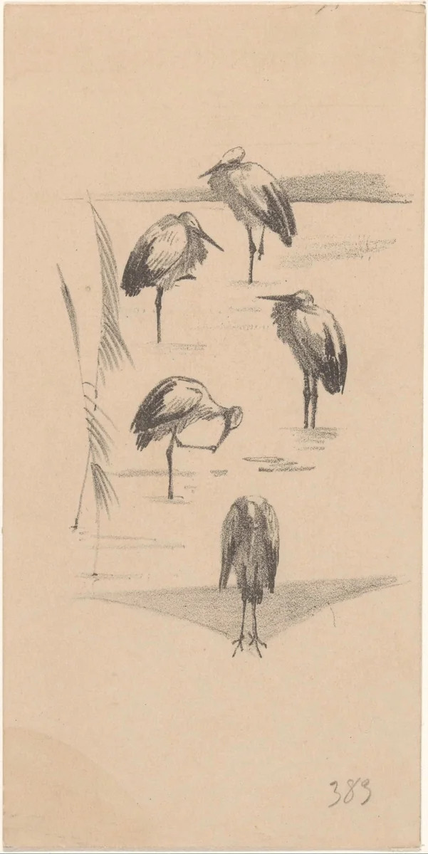 Wenskaart met vijf ooievaars by Theo van Hoytema, print, 1878-1917