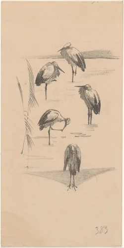Wenskaart met vijf ooievaars by Theo van Hoytema, print, 1878-1917