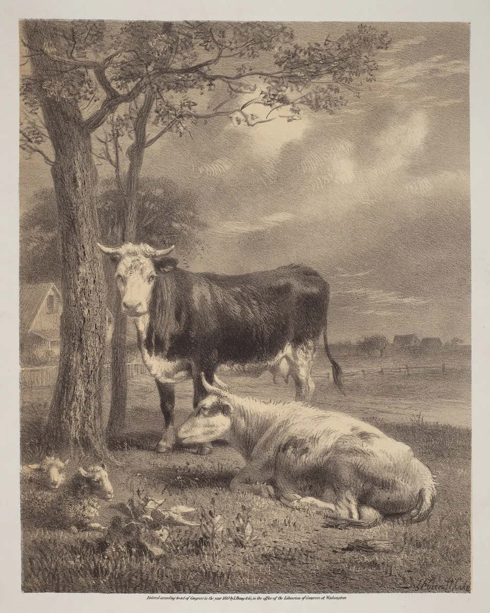 Cattle Ruminating by Joseph Foxcroft Cole; Louis Prang, print, 1870
