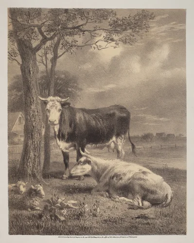 Cattle Ruminating by Joseph Foxcroft Cole; Louis Prang, print, 1870