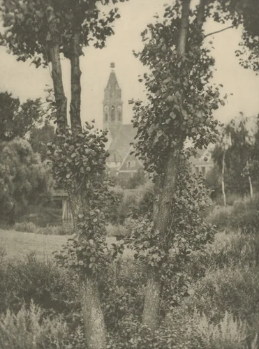 The Two Trees, Rothenberg by Alvin Langdon Coburn, photograph, 1908