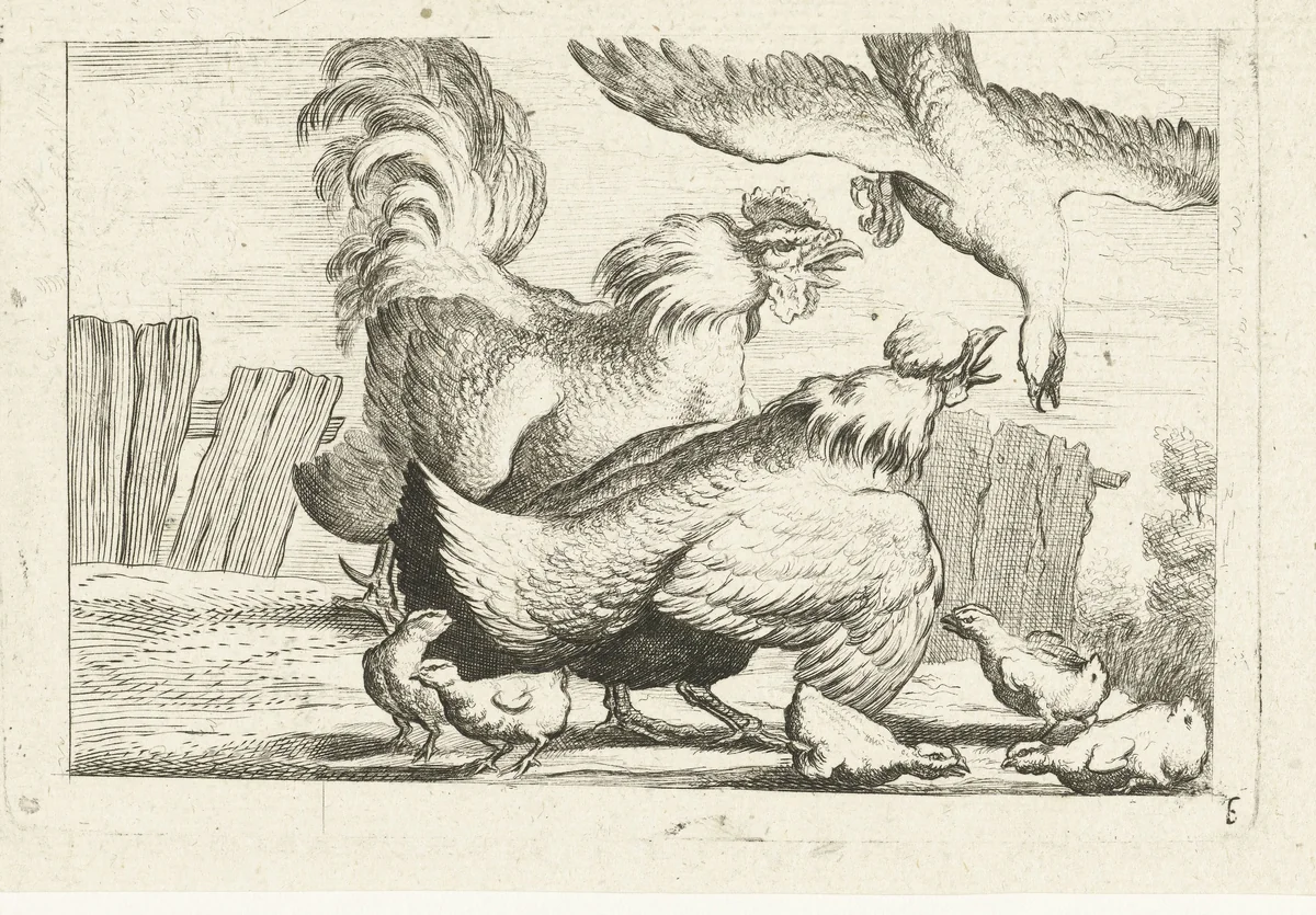 Valk valt groepje kippen met kuikentjes aan by anonymous, print, 1700-1749