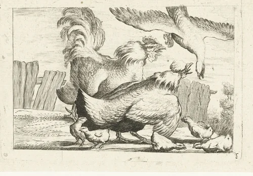Valk valt groepje kippen met kuikentjes aan by anonymous, print, 1700-1749