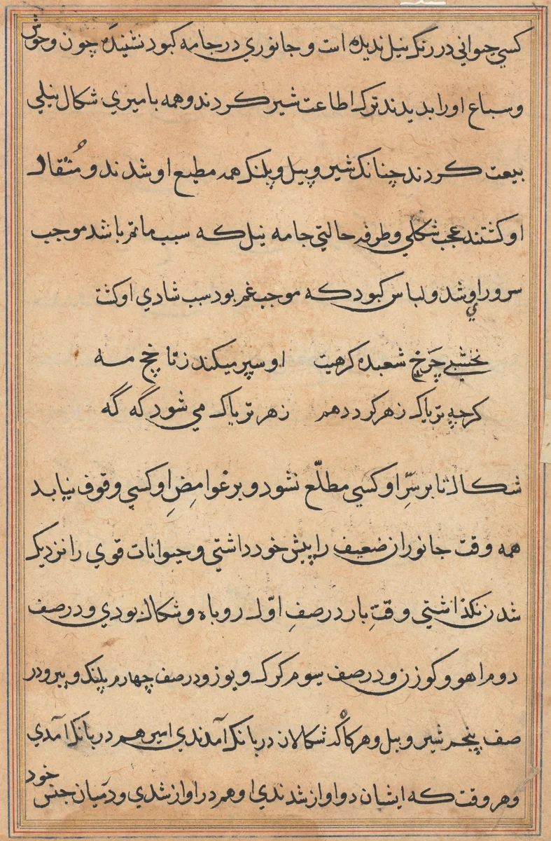 Page from Tales of a Parrot (Tuti-nama): text page by Unknown, painting, 1555-1565