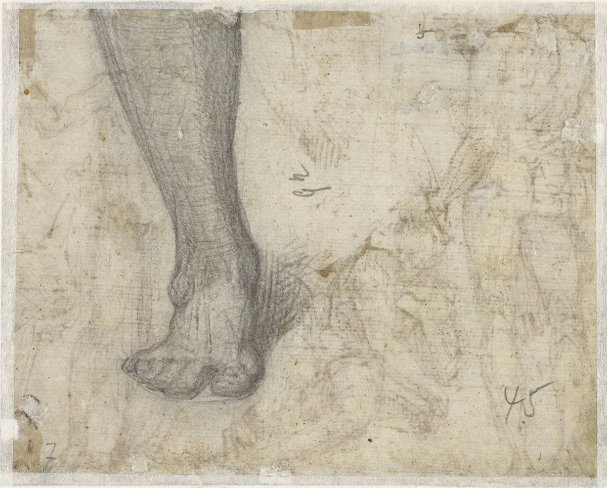 Voet, van voren gezien by Aurelio Luini, drawing, 1540-1593