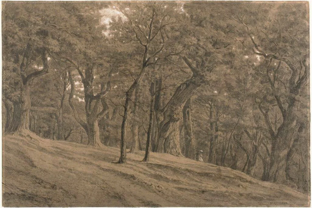 In the Forest of Fontainbleau by Théodore Rousseau, drawing, 1835-1850