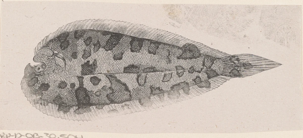 Schol by Isaac Weissenbruch, print, 1836-1912