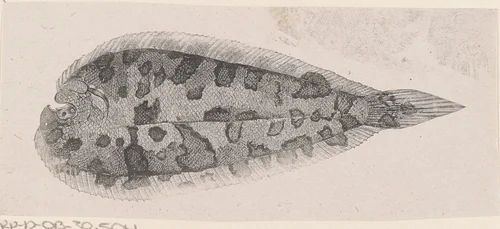 Schol by Isaac Weissenbruch, print, 1836-1912