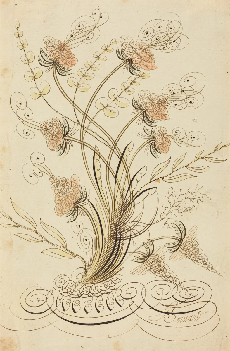 Calligraphic Flowers by Jean-Joseph Bernard, drawing, 1700-1800