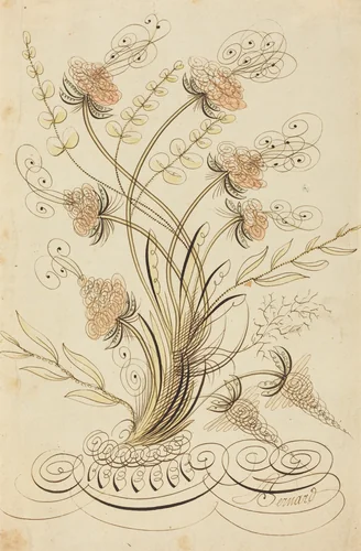 Calligraphic Flowers by Jean-Joseph Bernard, drawing, 1700-1800