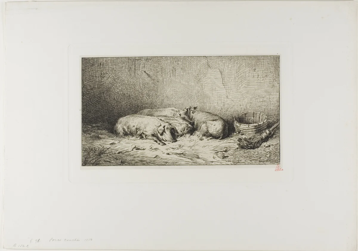 Four Sleeping Pigs by Charles-Émile Jacque, print, 1850