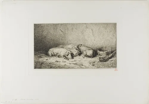 Four Sleeping Pigs by Charles-Émile Jacque, print, 1850