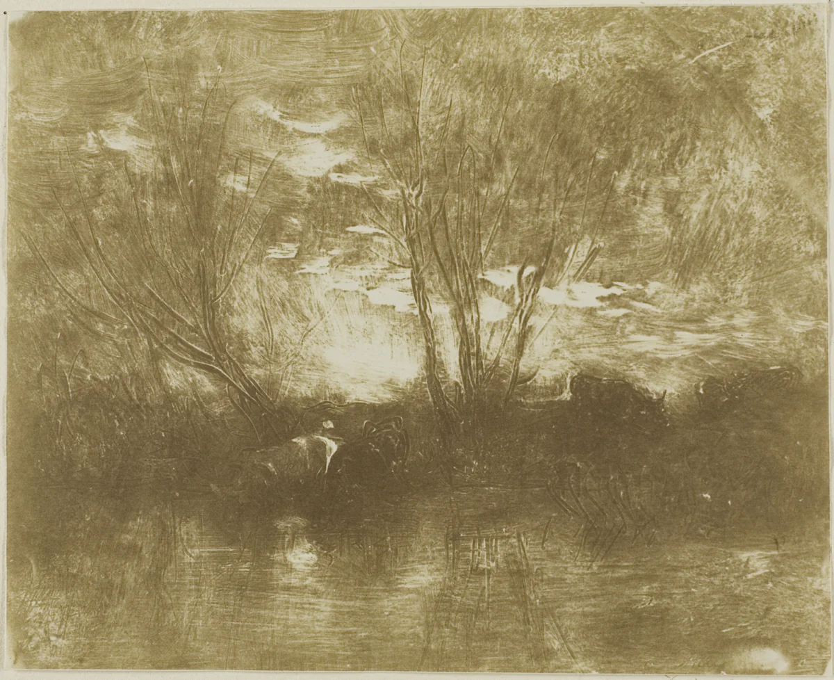 Cows at the Watering Place by Charles-François Daubigny, print, 1862