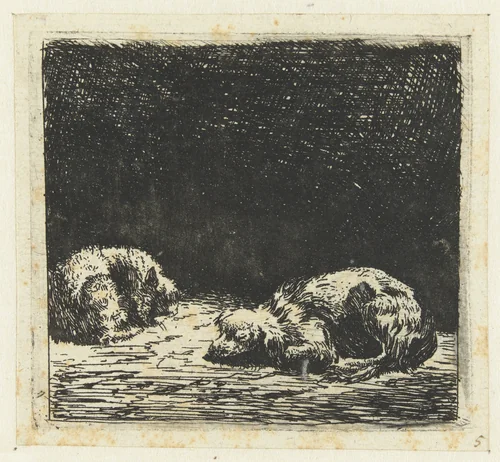 Slapende hond en kat by Karel du Jardin, print, 1652-1659