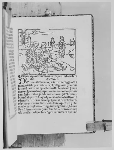 Vita Lydwina by Johann Brugman, book, 1493-1503