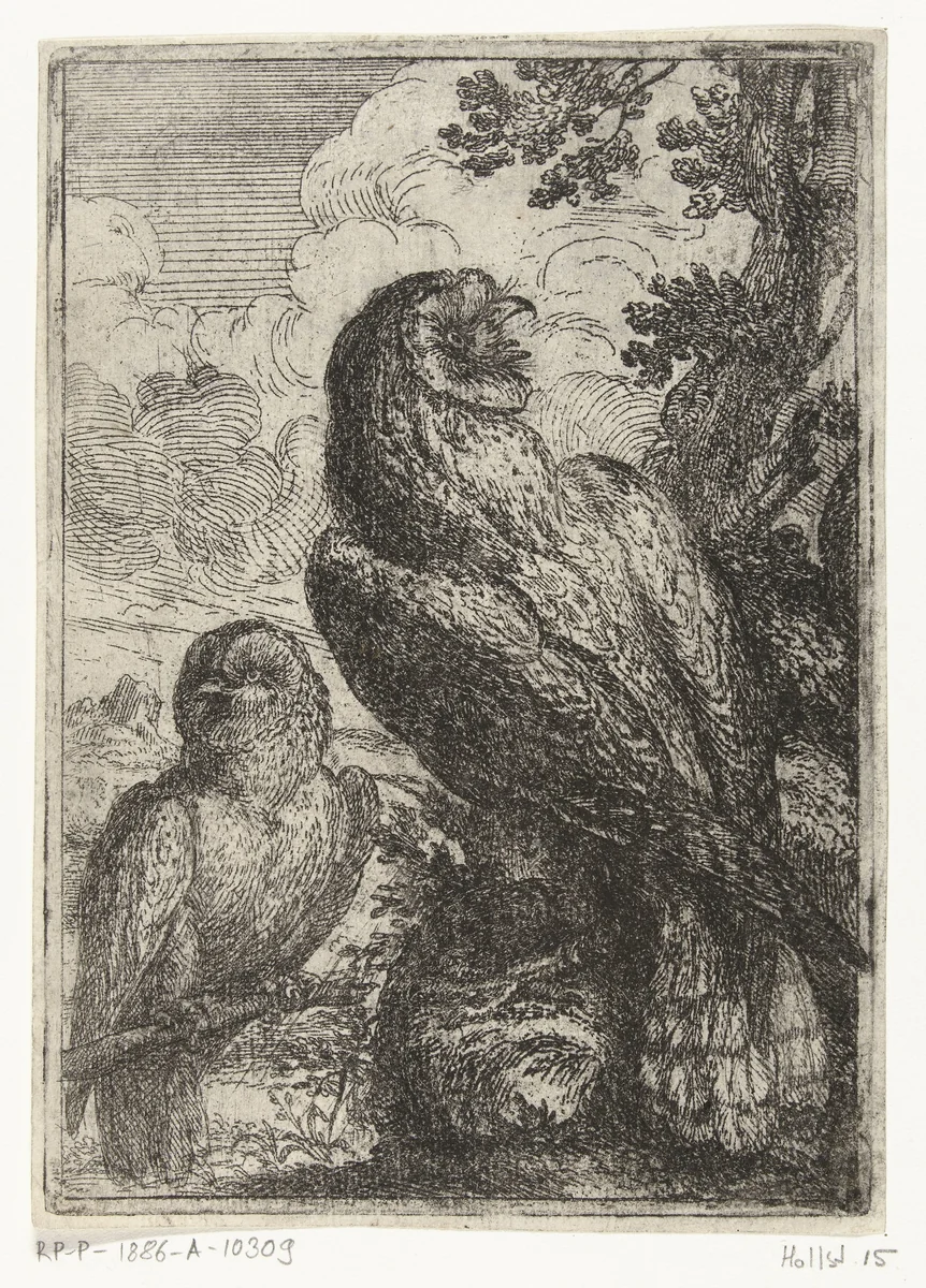 Twee uilen by Peeter Boel, print, 1642-1674