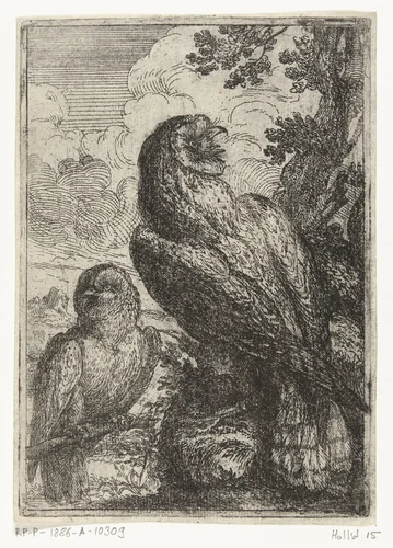 Twee uilen by Peeter Boel, print, 1642-1674