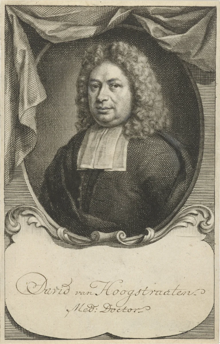 Portret van David Fransz. van Hoogstraten by Jacob Houbraken, print, 1708-1780